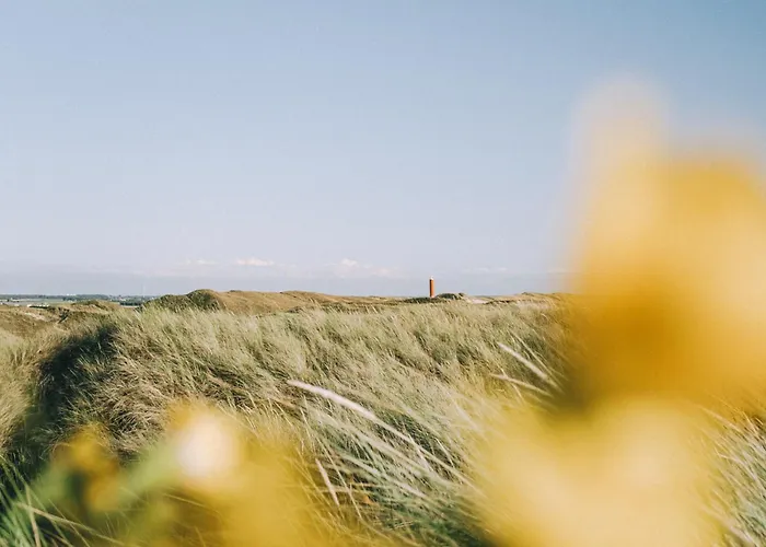 Beach Appartement 19 - Aan De Duinen, Callantsoog Aan Zee